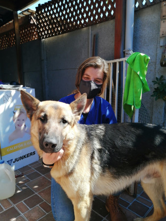 Imagen 3 de servicio