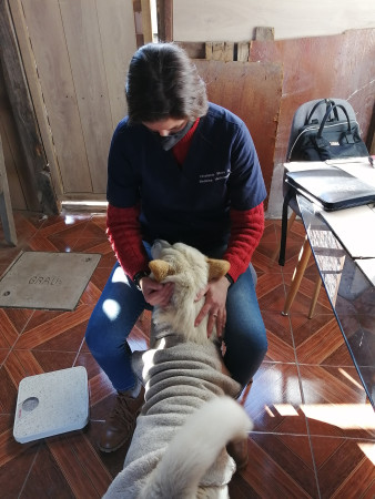 Imagen 7 de servicio