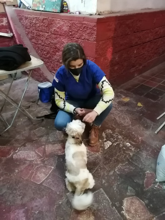 Imagen 11 de servicio