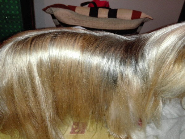 Imagen 2