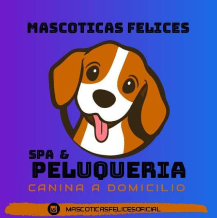 Imagen 4 de servicio