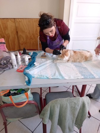 Imagen 13 de servicio