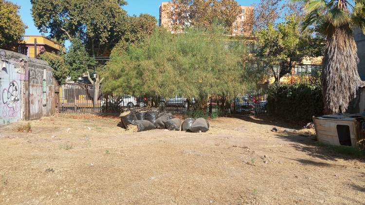Imagen 19 de servicio