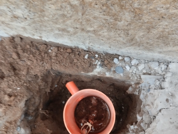 Imagen 32 de servicio