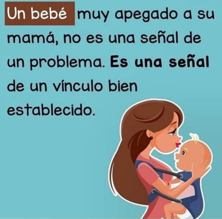 Imagen 0