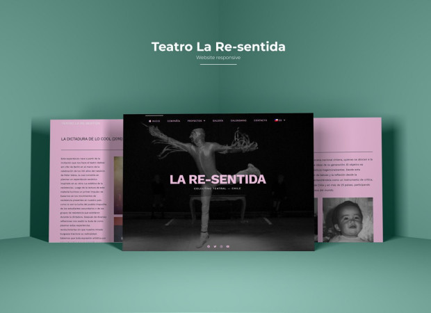 Imagen 8 de servicio