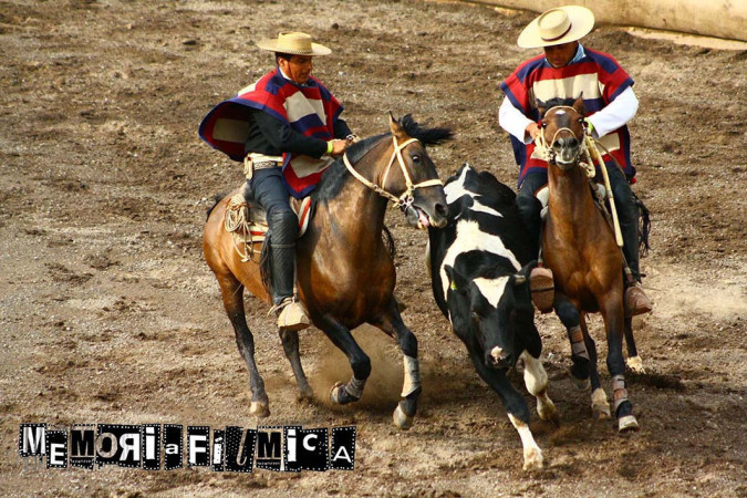 Imagen 18 de servicio