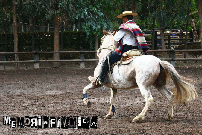 Imagen 19 de servicio