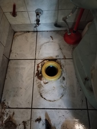 Imagen 6 de servicio