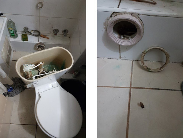 Imagen 15 de servicio