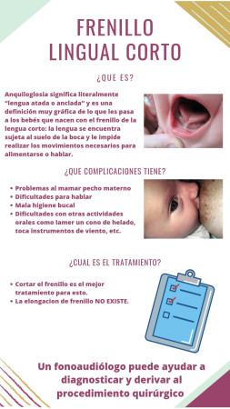 Imagen 4 de servicio