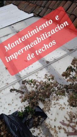 Imagen 108 de servicio