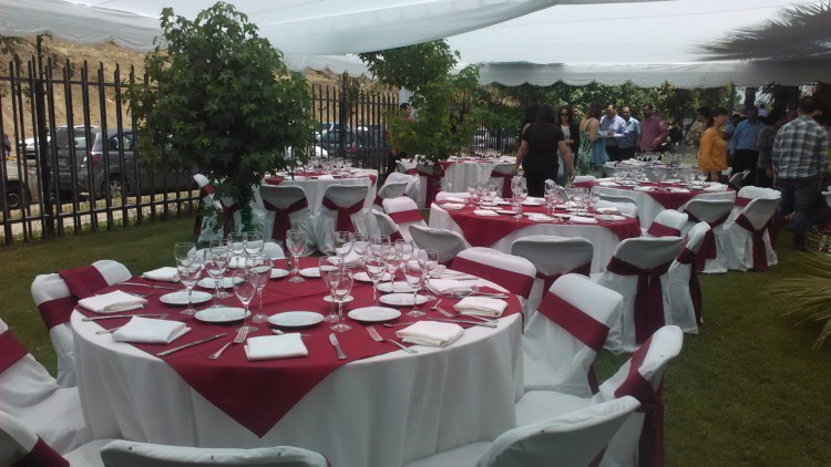 Imagen 13 de servicio