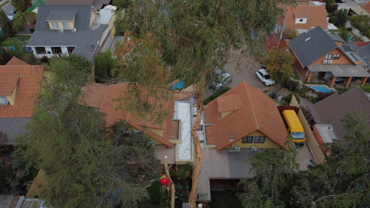 Imagen 4 de servicio