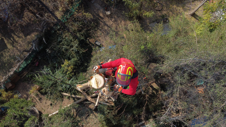 Imagen 8 de servicio