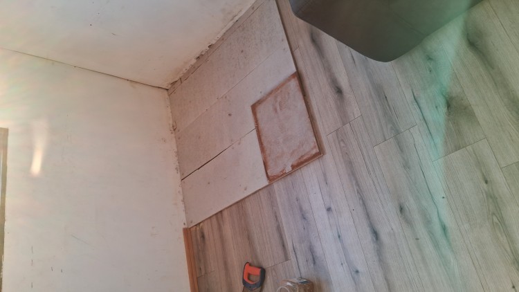 Imagen 7 de servicio
