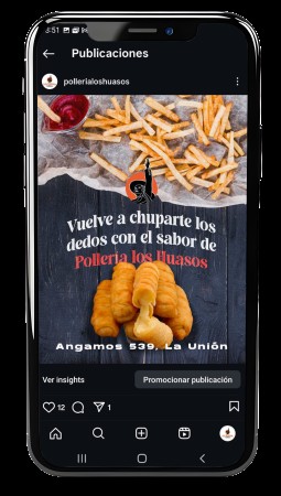 Imagen 2