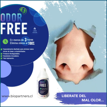 Imagen 4 de servicio