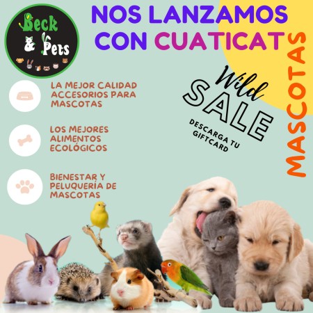 Imagen 42 de servicio