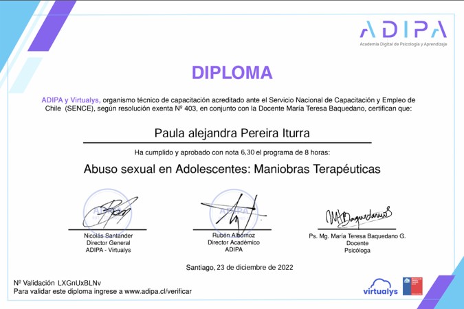 Imagen 7 de servicio