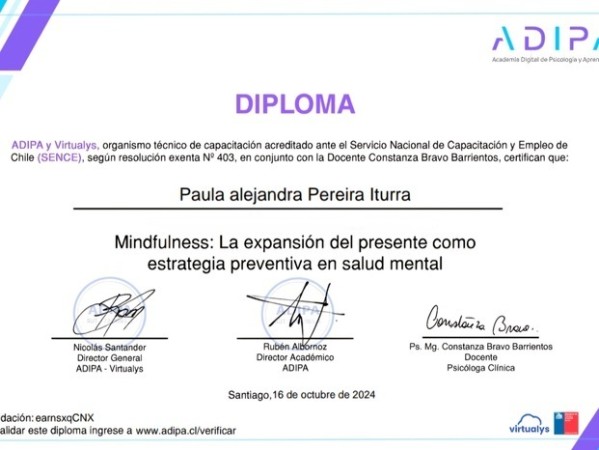 Imagen 6 de servicio