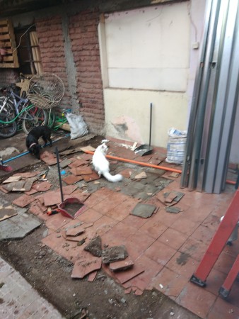 Imagen 2