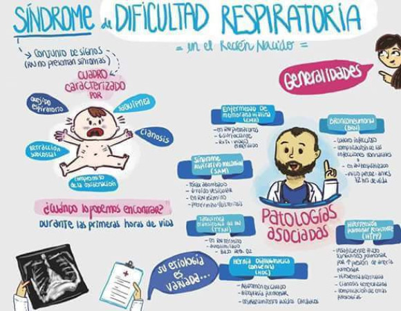 Imagen 3 de servicio