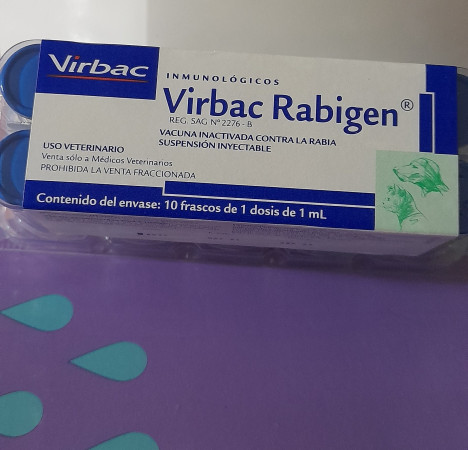 Imagen 5 de servicio