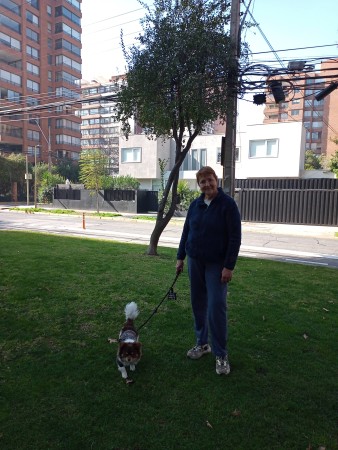 Imagen 3 de servicio