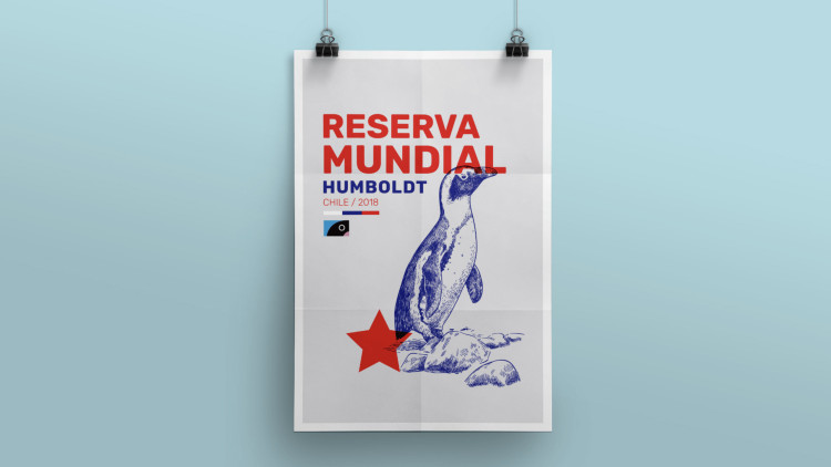 Imagen 5 de servicio