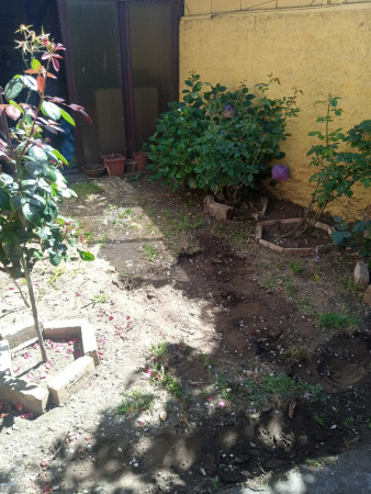 Imagen 4 de servicio