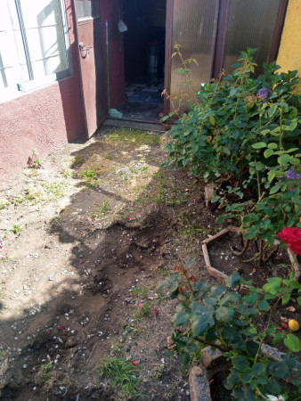 Imagen 7 de servicio