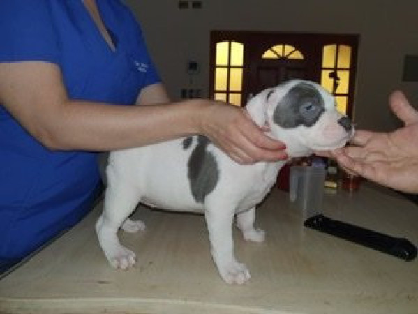 Imagen 1