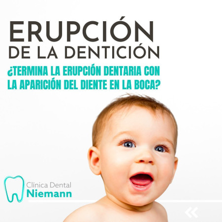 Imagen 0
