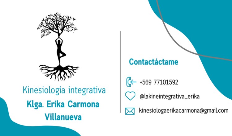 Imagen 8 de servicio