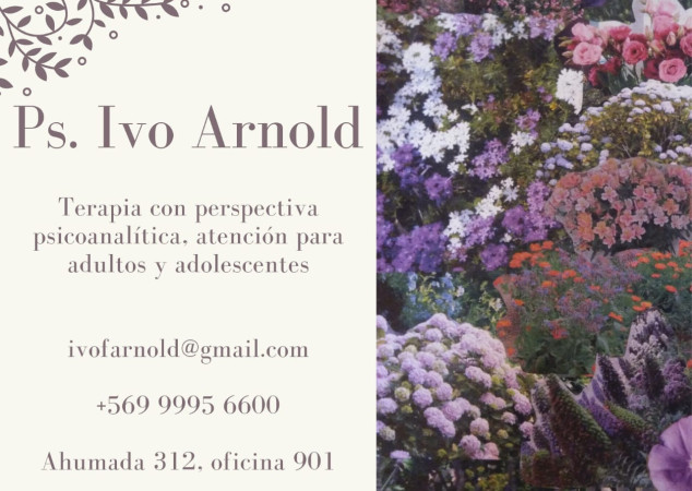 Imagen 0