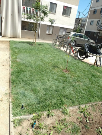 Imagen 7 de servicio