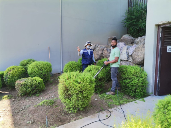 Imagen 14 de servicio