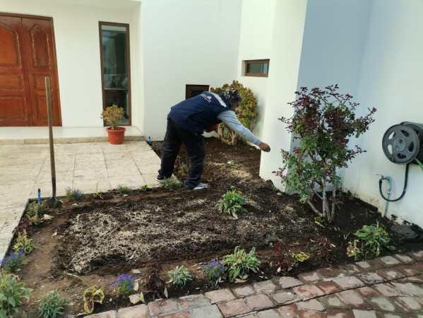 Imagen 18 de servicio