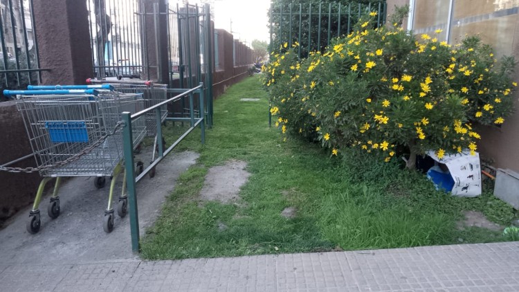 Imagen 46 de servicio