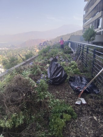 Imagen 55 de servicio