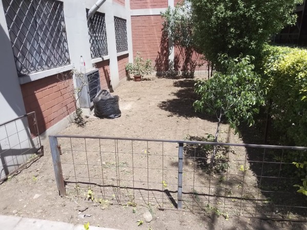 Imagen 65 de servicio
