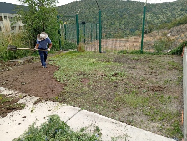 Imagen 81 de servicio
