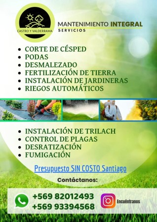 Imagen 8 de servicio