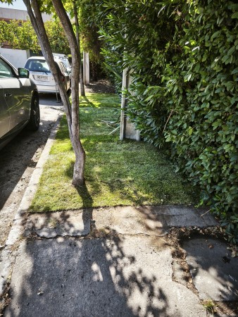 Imagen 9 de servicio