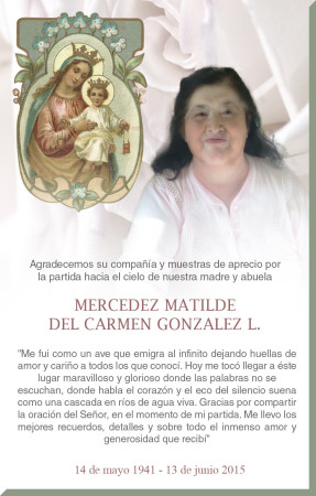 Imagen 12 de servicio