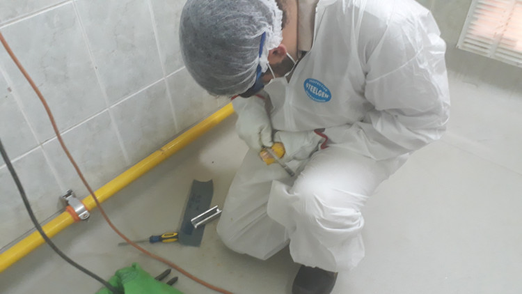 Imagen 25 de servicio