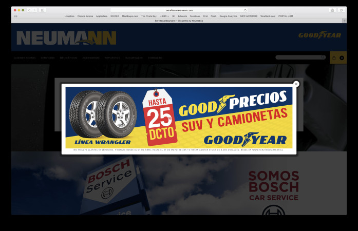 Imagen 17 de servicio