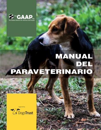 Imagen 12 de servicio