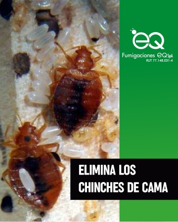 Imagen 11 de servicio